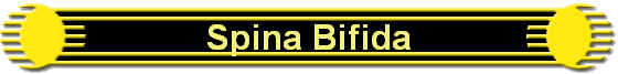 Spina Bifida